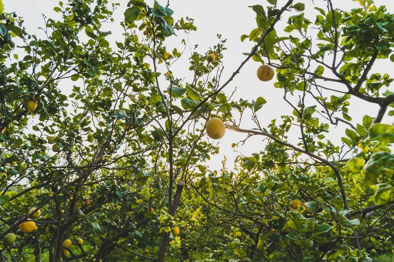 Il Limoneto Rooms Terme Vigliatore Oda ve Kahvaltı