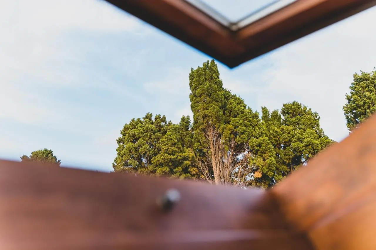 Il Limoneto Rooms Terme Vigliatore Bed & Breakfast